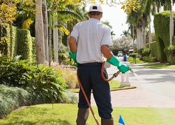 About East Vandergrift PA Pest Control